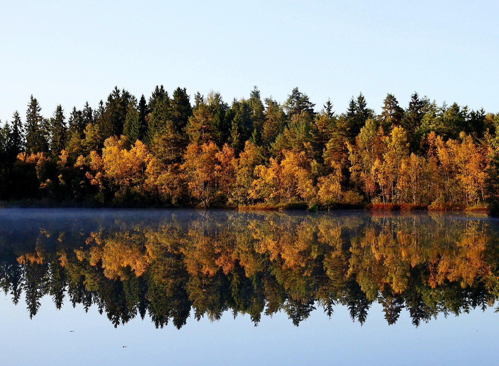 autumn september forest tree lake reflection