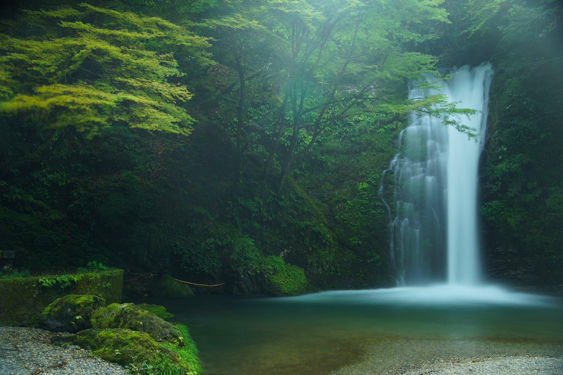 hiraito falls fujinomiya japon cascade de shiraito cascade forêt arbres