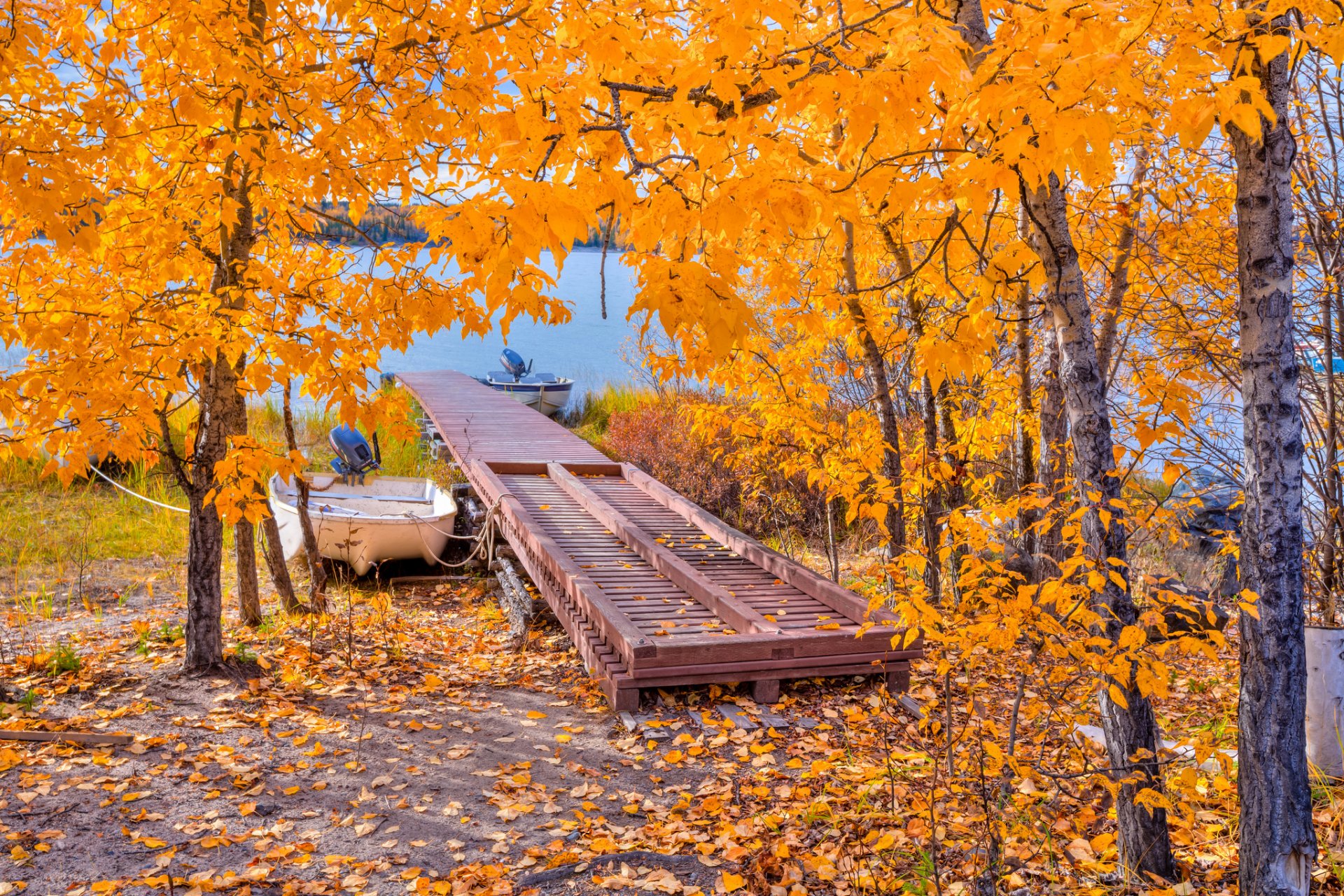 autunno alberi ponte lago barca foglie