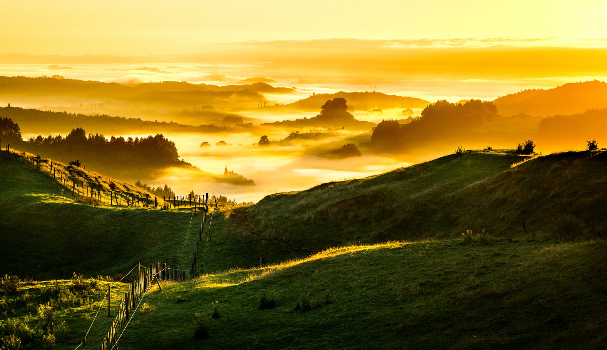 nuova zelanda alba nebbiosa e dorata