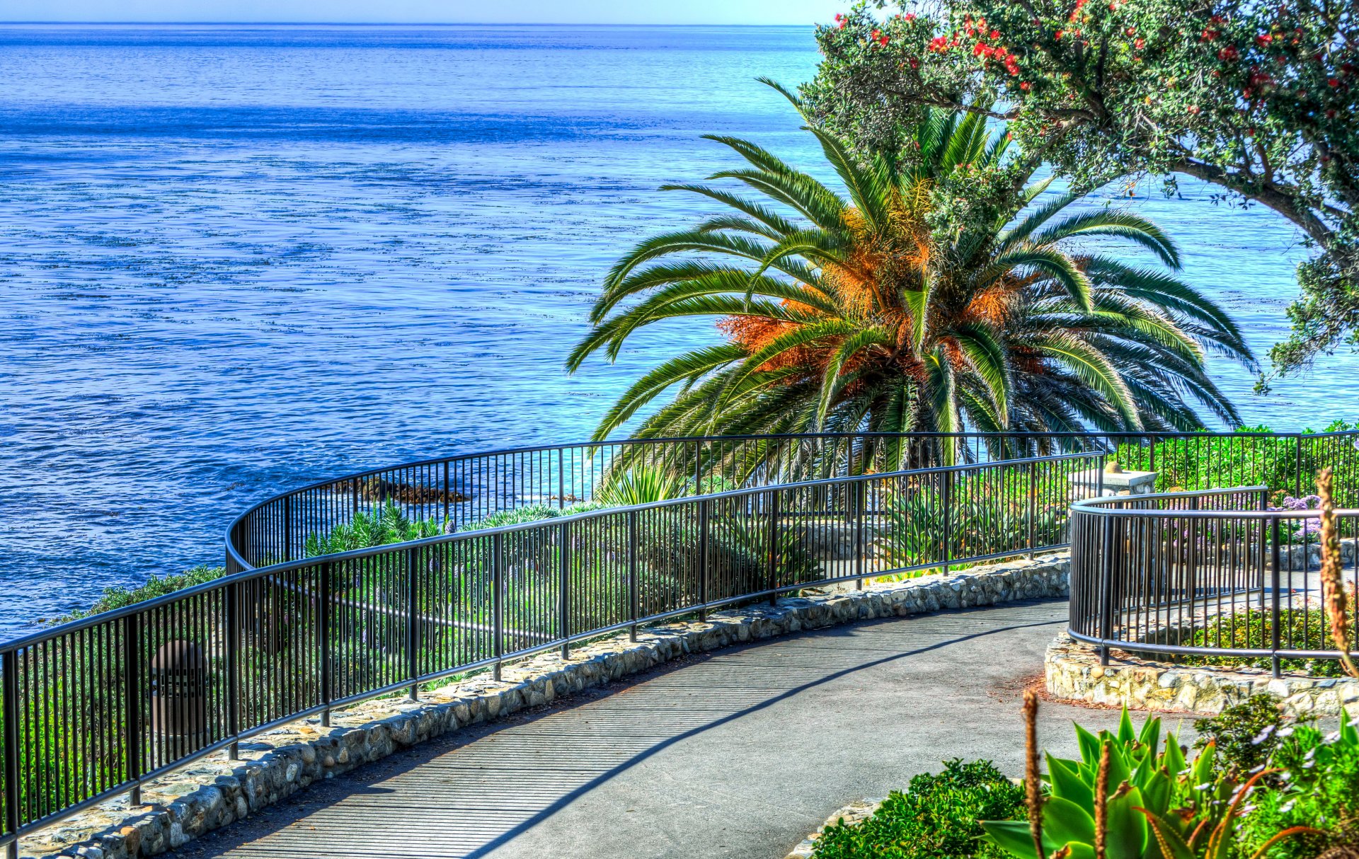 united states laguna beach sea palm horizon track rails descent