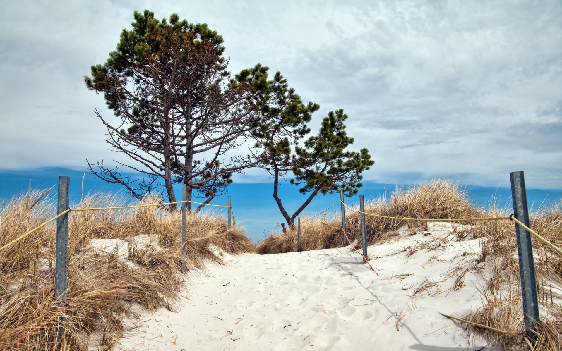 mar playa dunas paisaje verano