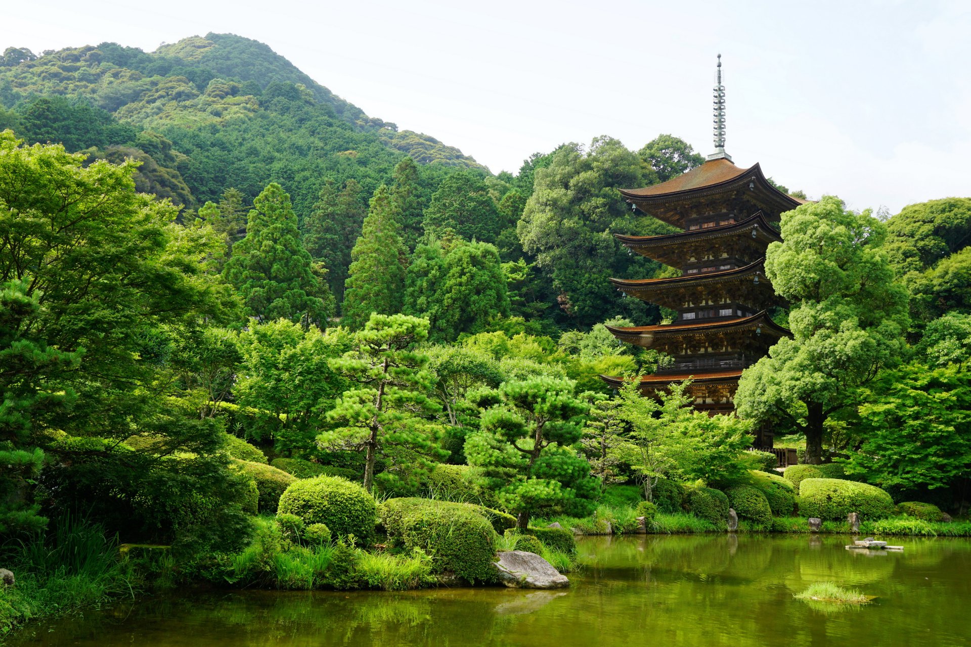 japan yamaguchi park teich grün natur