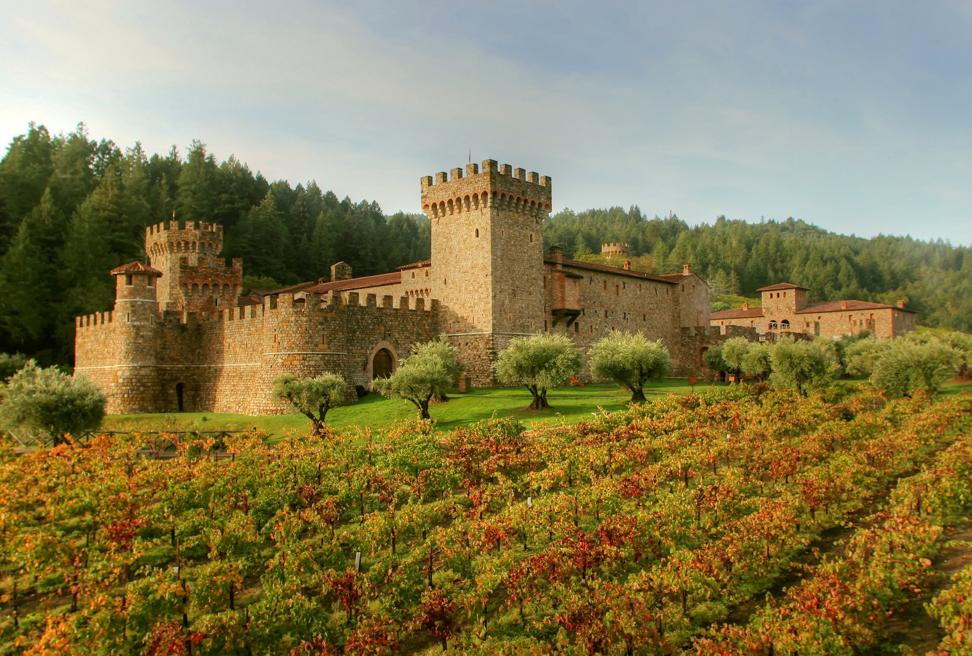 italien castello di amorosa toskana schloss festung wald feld plantage gras bäume