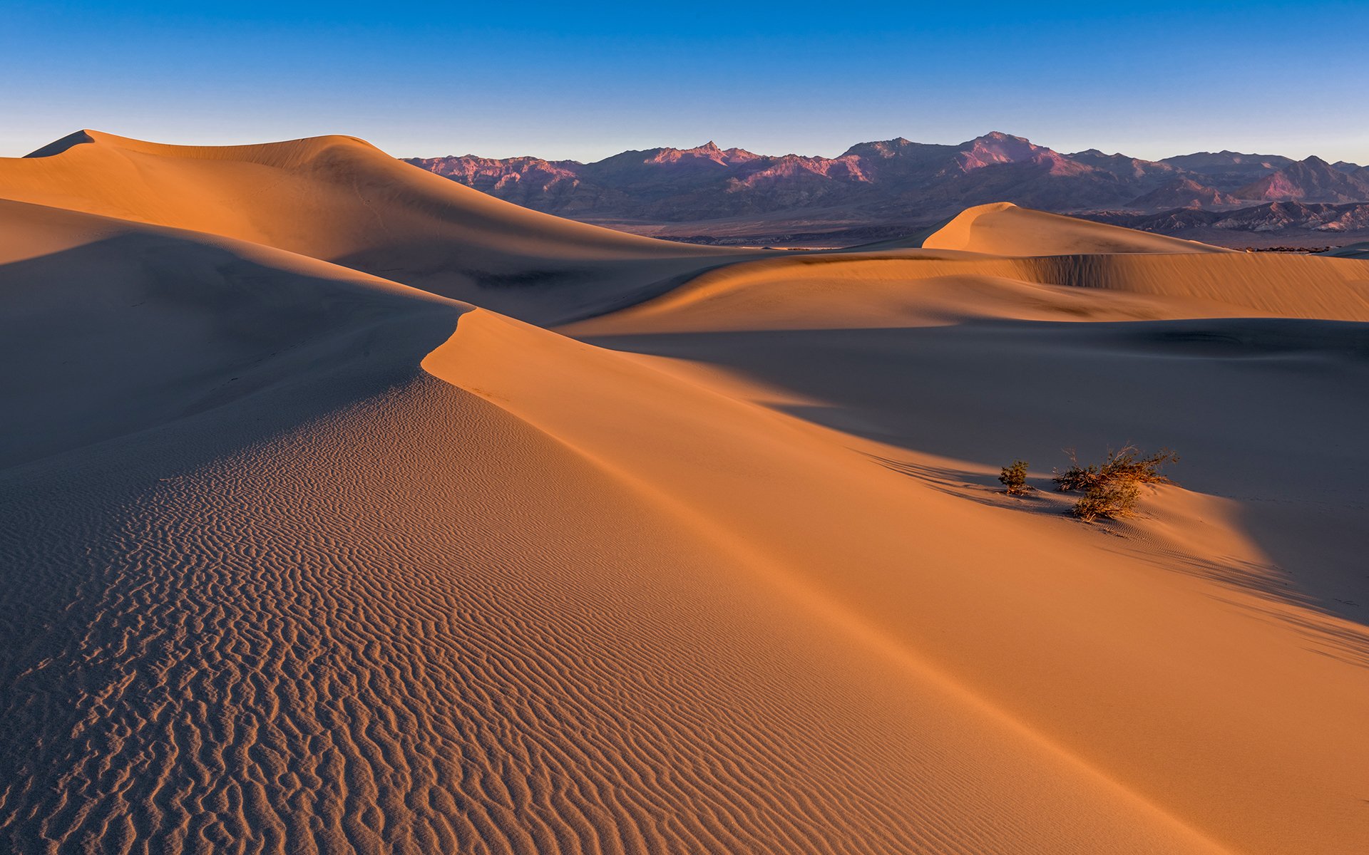 mesquite-dünen death valley sand wüste