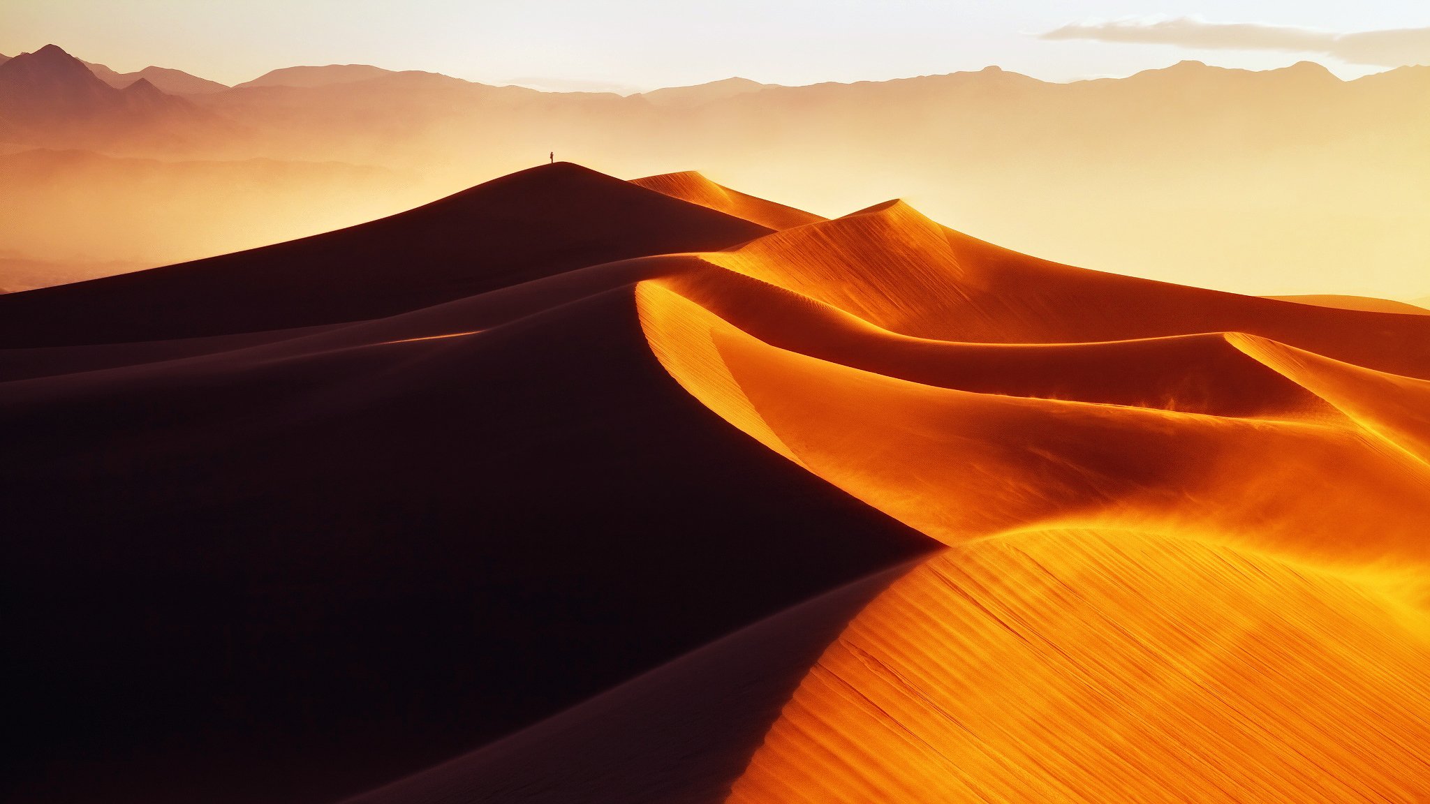 desert morning golden sand sand dune dunes man light