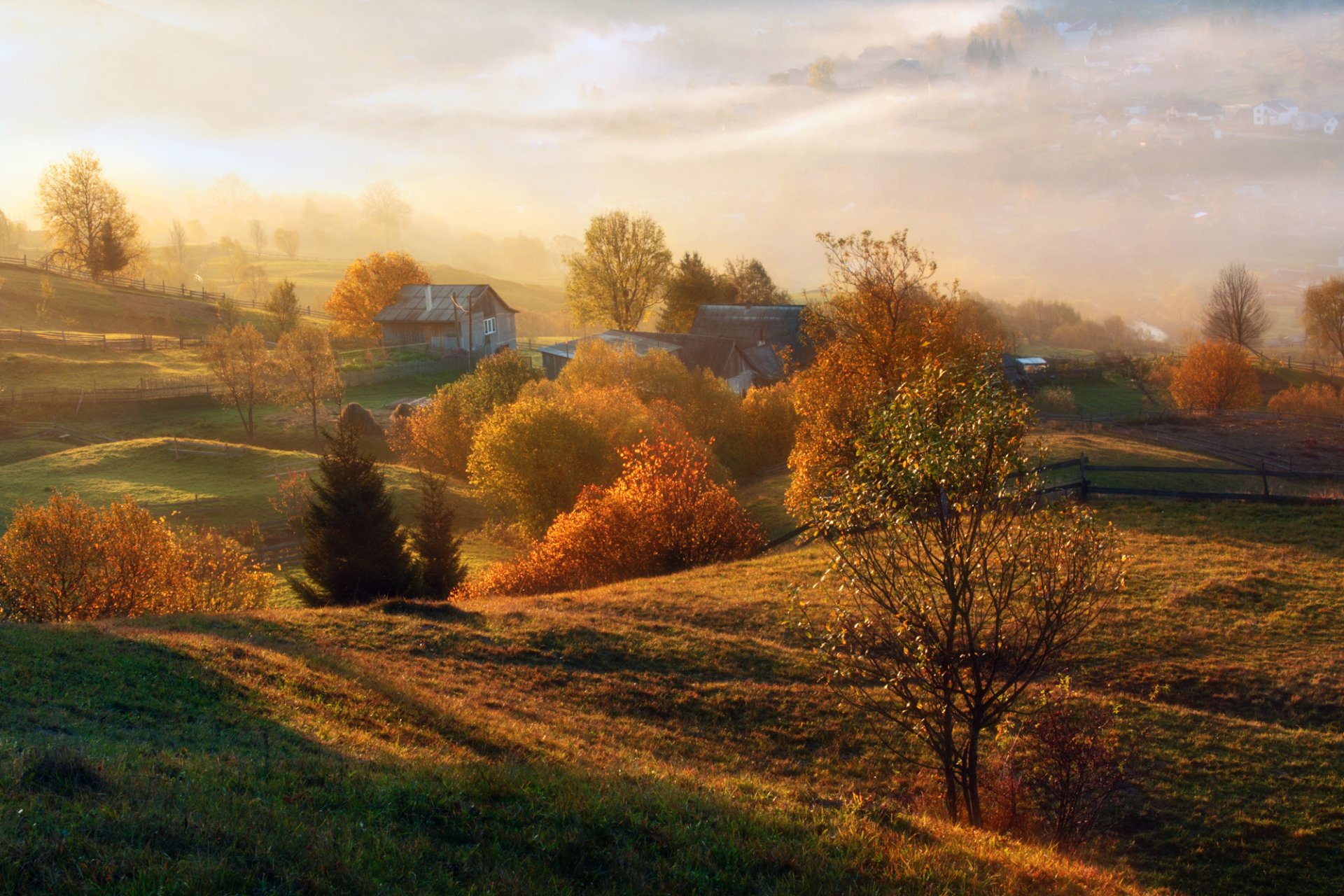 automne champs arbres maisons potagers clôtures espace soleil brouillard