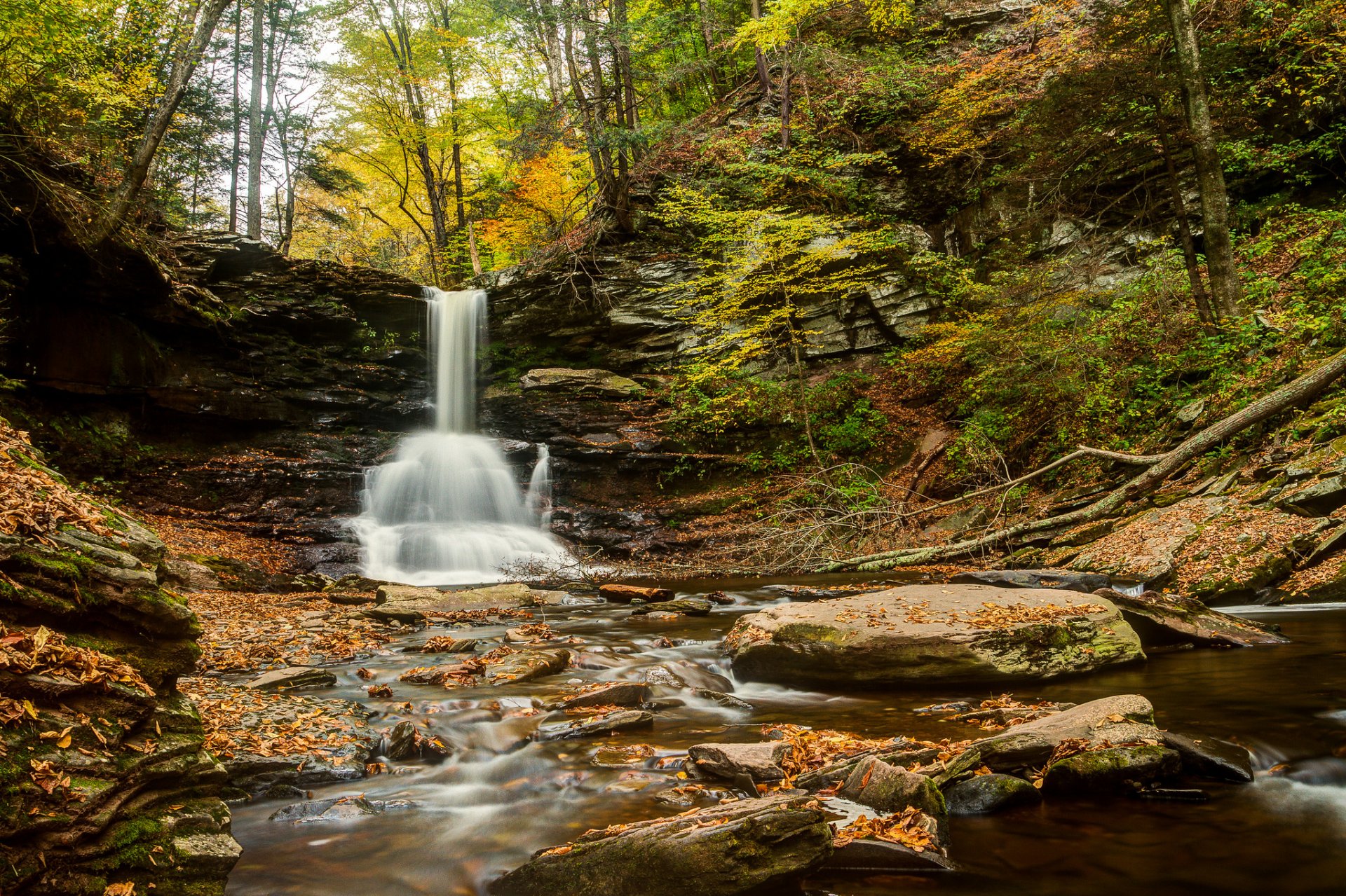 sheldon reynolds falls ricketts glen state park pensylwania wodospad rzeka las jesień kamienie