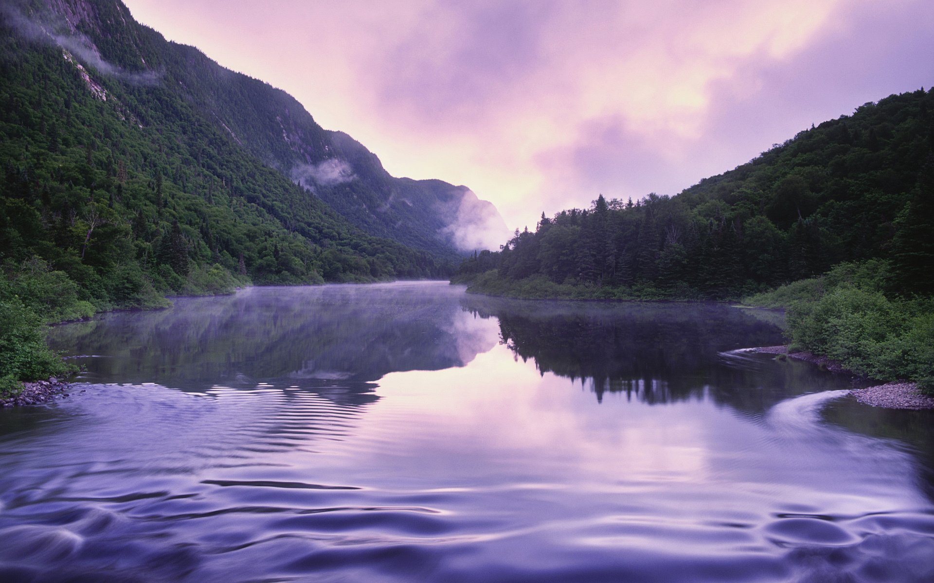 ummer fog mountain river tree sky nature