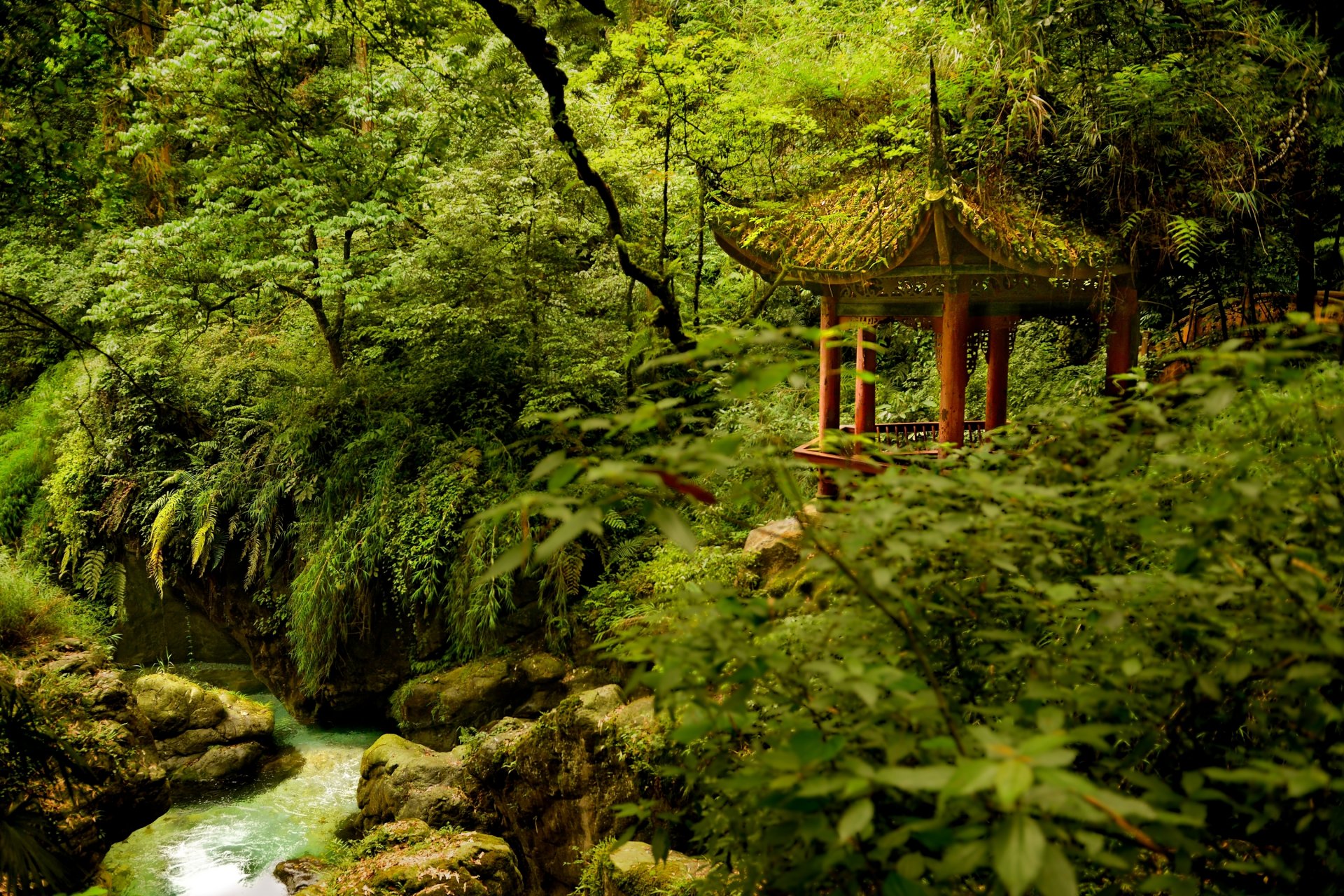 emeishan-nationalpark sichuan china emeishan emeishan-nationalpark park laube fluss bäume