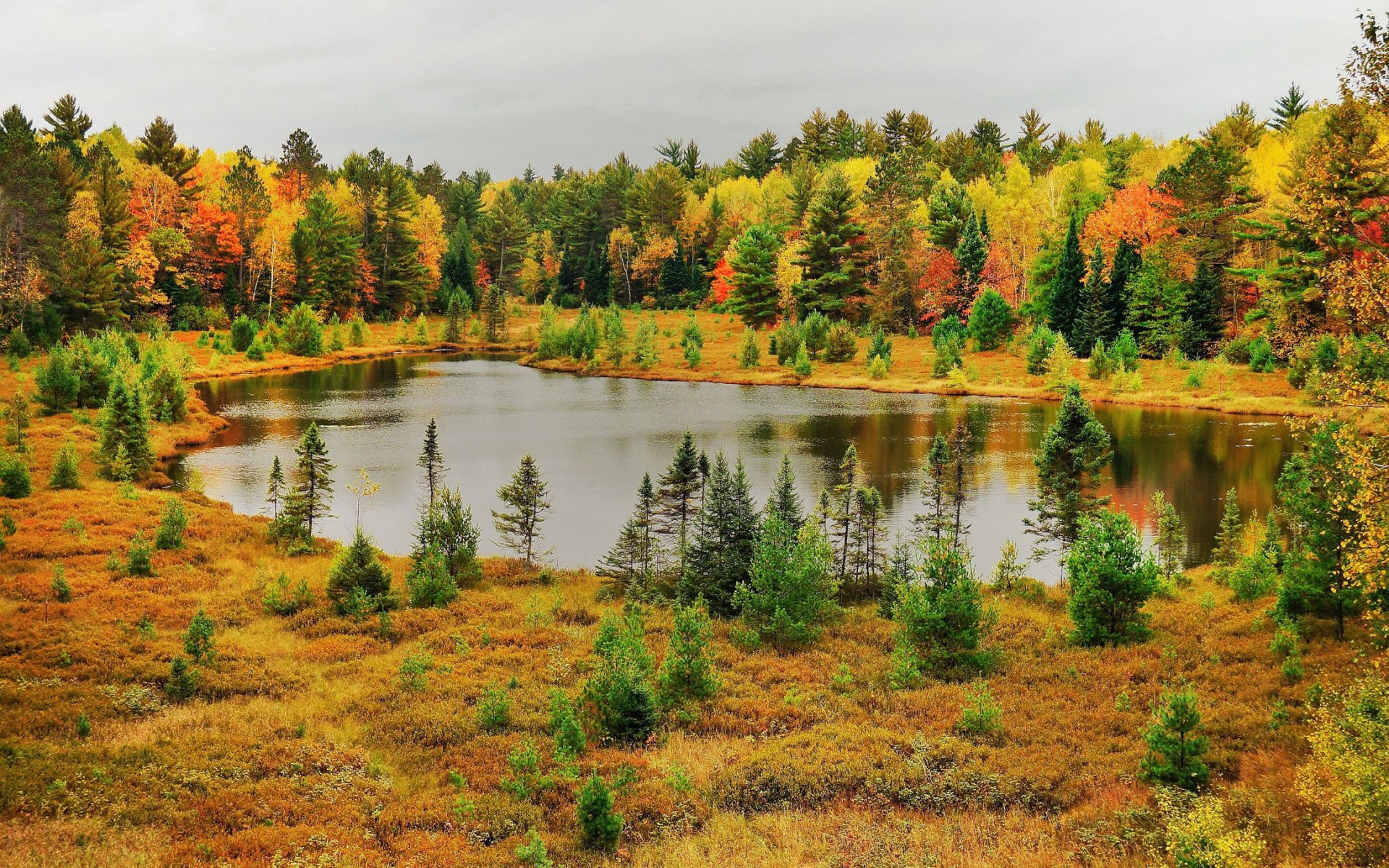 herbst see wald natur foto