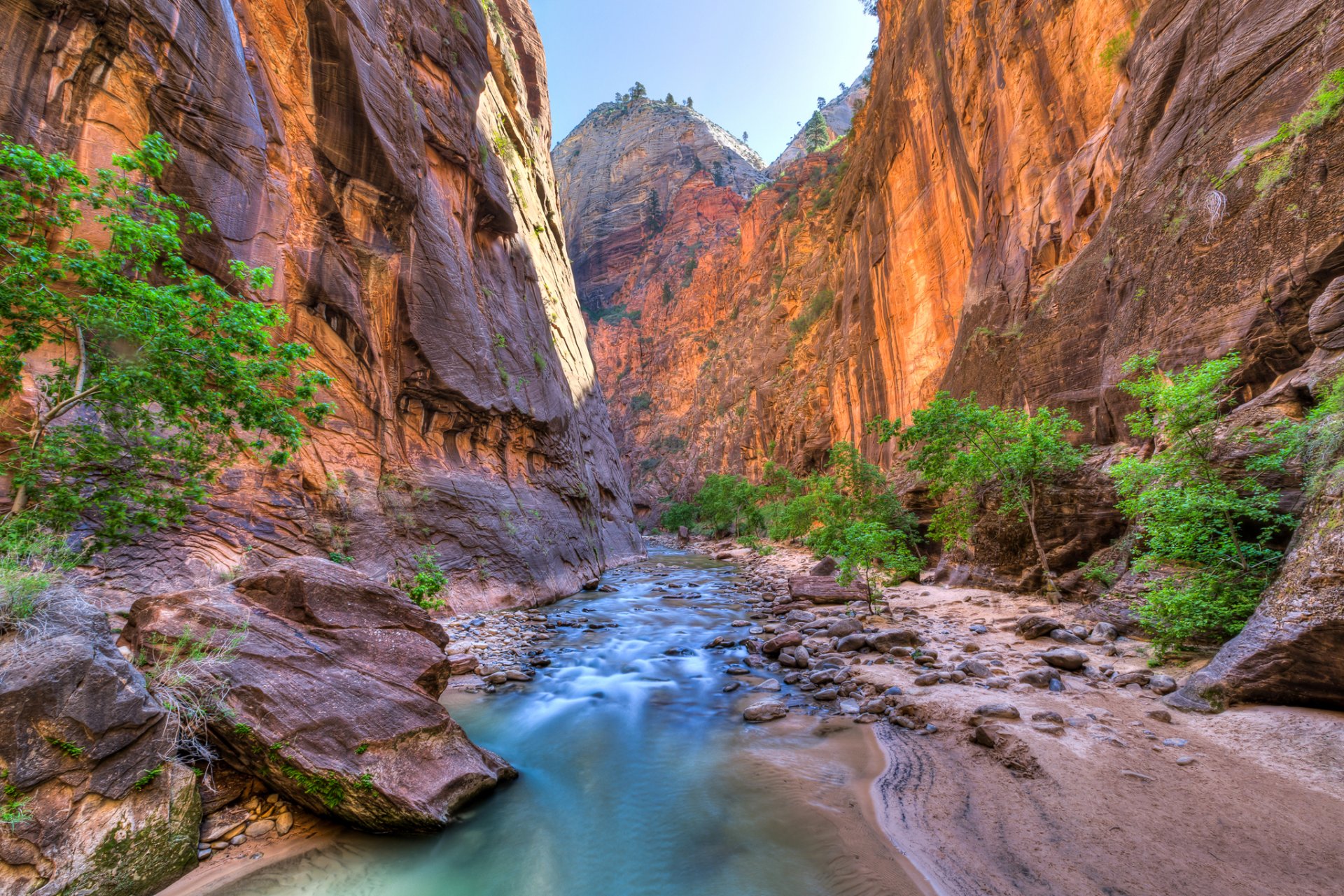 parque nacional zion estados unidos utah rocas cañón río rocas árboles garganta