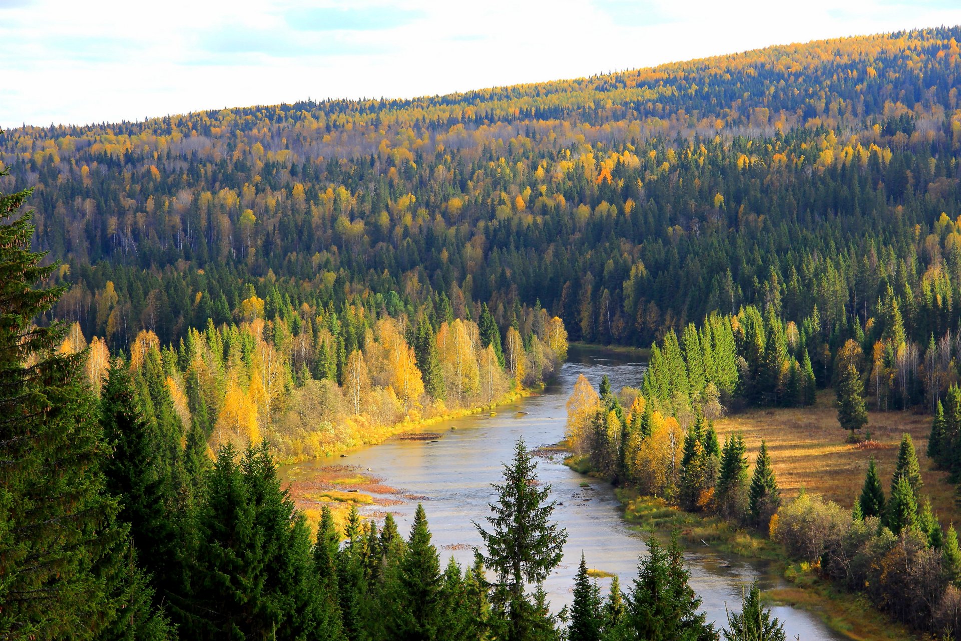 russia foresta fiume alberi territorio di perm koiva