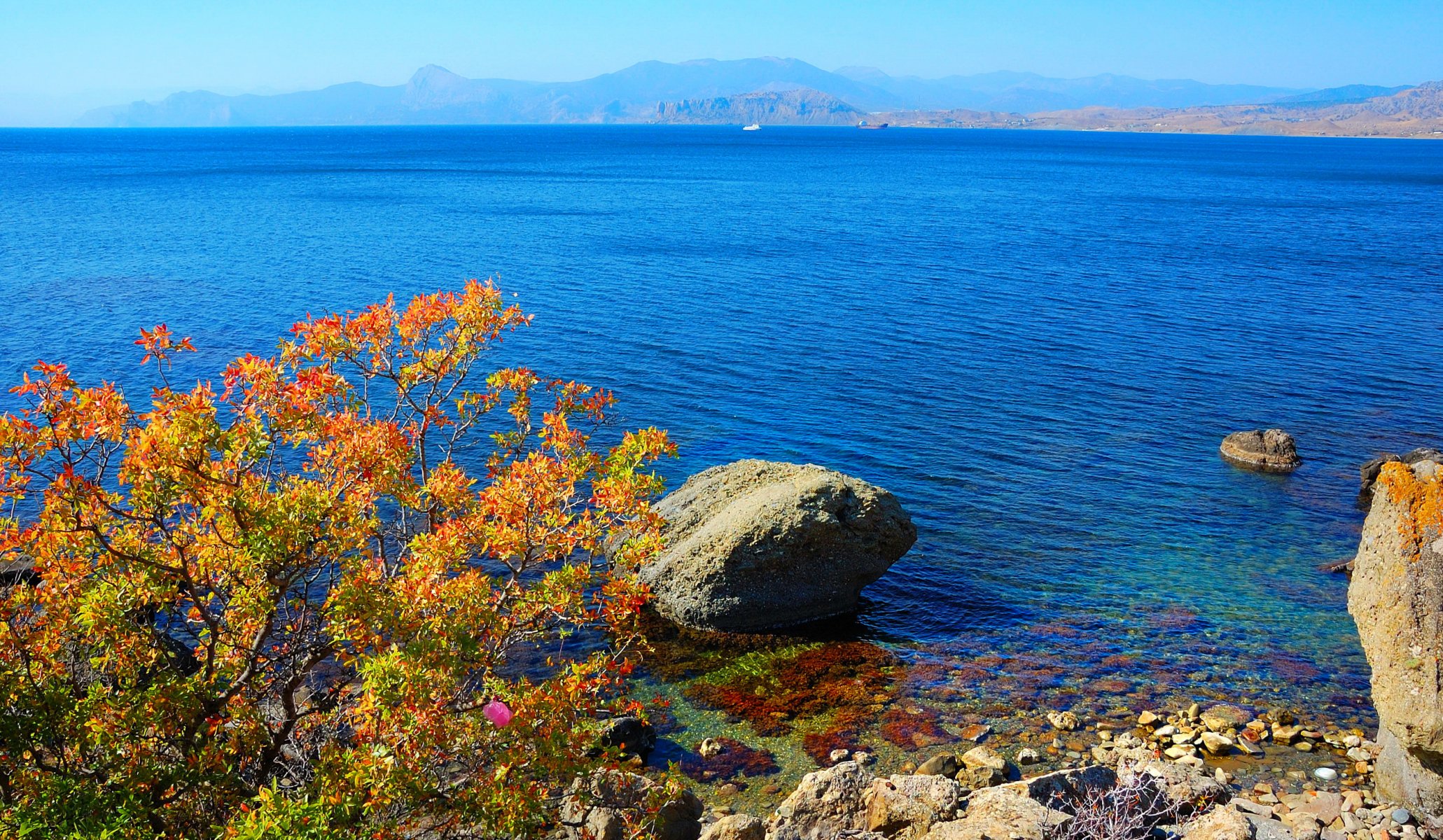 crimea black sea water coast mountain beach stones bush branche