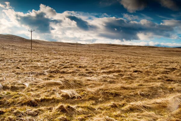 Field during haymaking