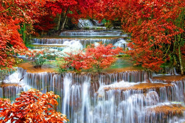 Cascata d autunno paesaggio colorato