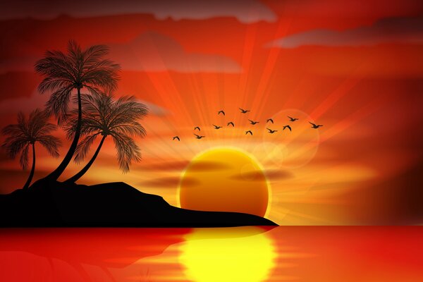 Sole mare Palme Isola