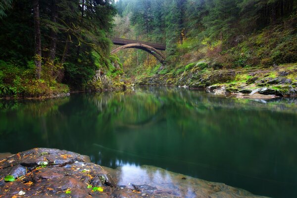 Pont sur la rivière Lewis en été à Washington