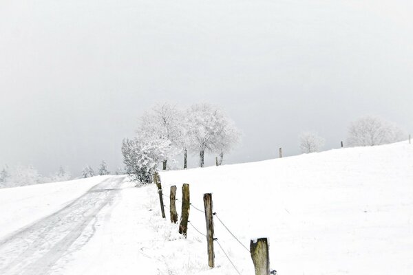 Snowy road at the fence