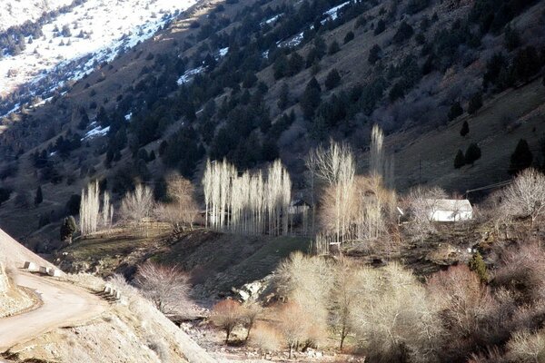 Valle nevado con río en las montañas