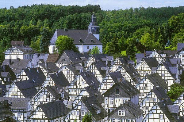 Le toit des maisons parmi les arbres