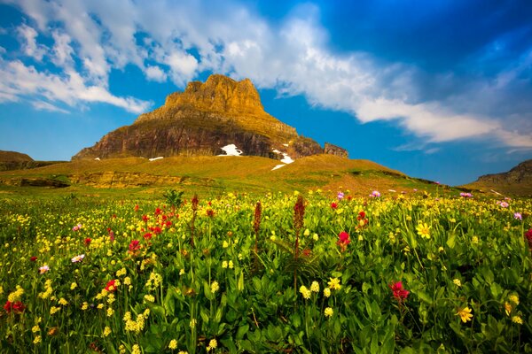 The landscape of the valley in flowers and the sky