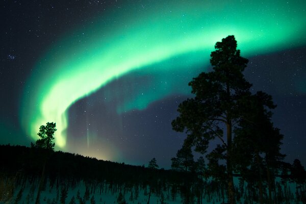 Aurora boreal en el cielo nocturno