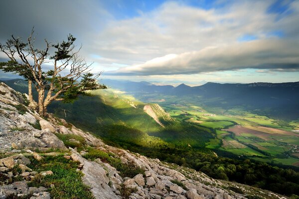 Berglandschaft und Himmel und Wald