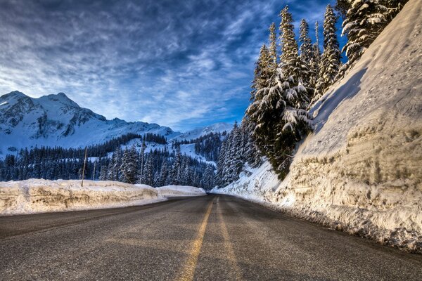 Hermoso camino de invierno en las montañas