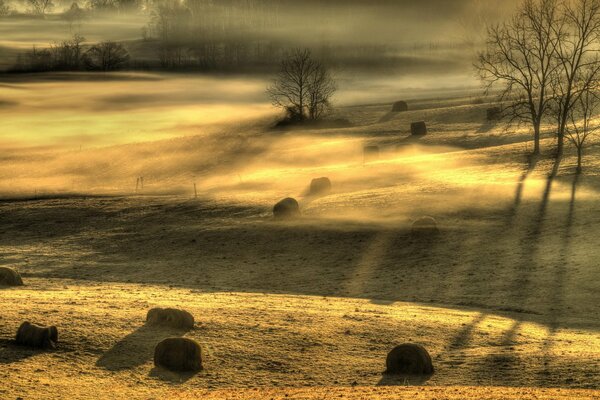 Brumoso paisaje de la mañana en el campo