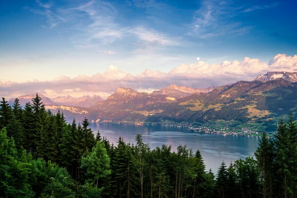 Landscape of dense forest, mountains and lake