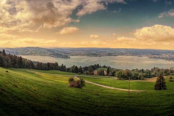 Beautiful green forest in Switzerland