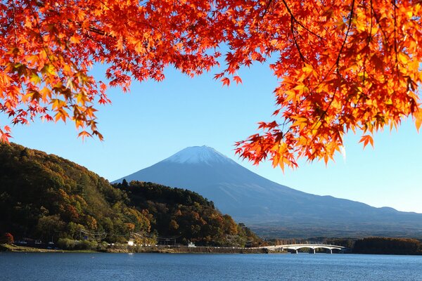 Bridge near Mount Fujiyama in autumn