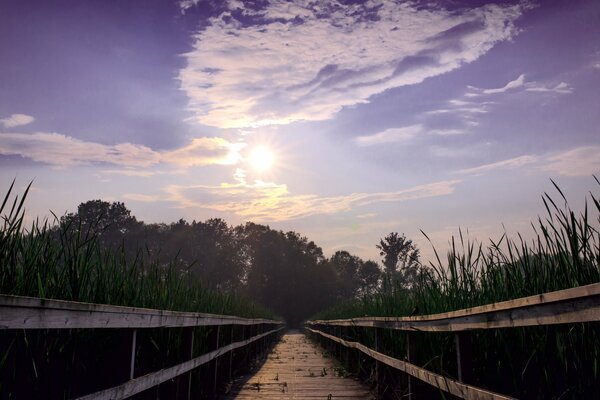 Pont traversant le lac