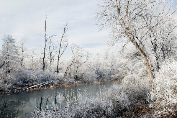 Piękny krajobraz. Zimowa Rzeka