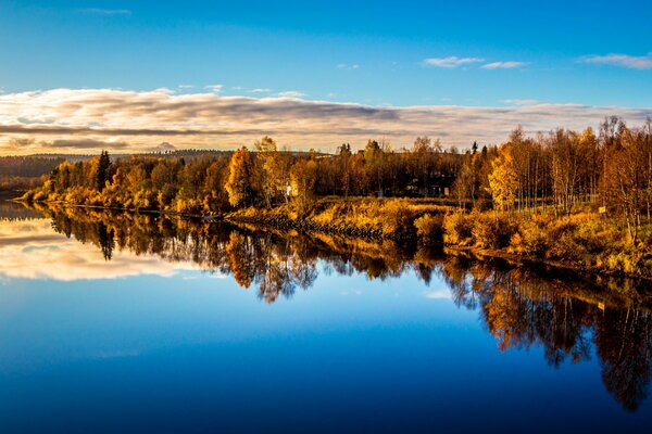 The reflection of the forest is visible on the lake