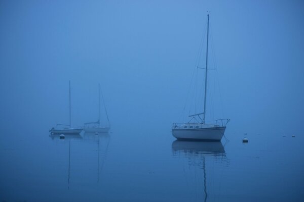 Boat trips