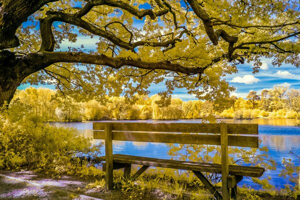 Herbst im Park am Teich