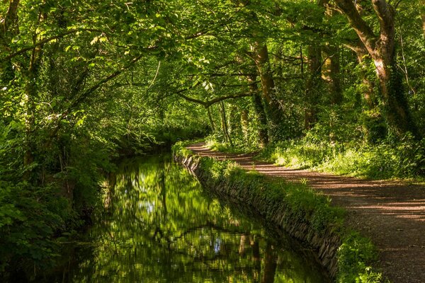 Un sendero a lo largo del río en el bosque Inglés