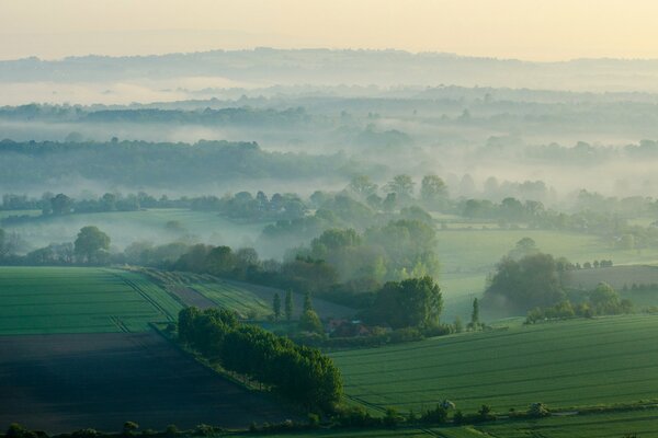 Fog morning hills field