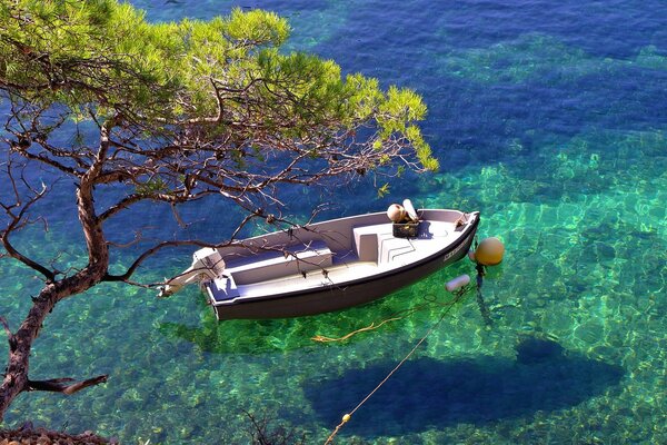 Boot in einer Bucht auf klarem Wasser