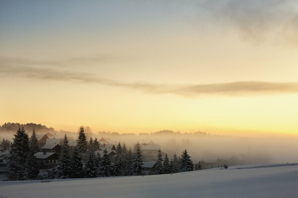 Behind the trees you can see wooden houses in the fog