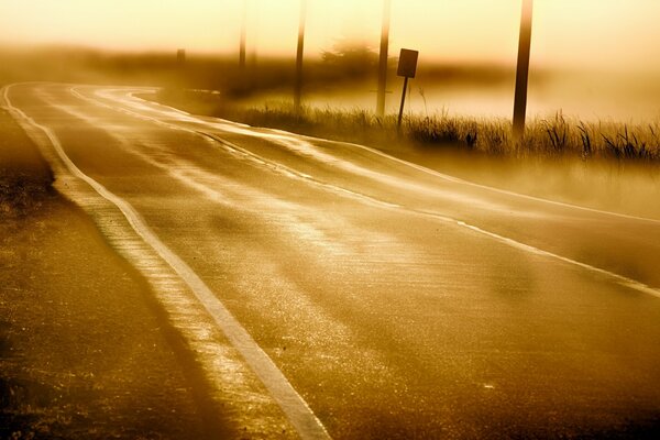 Camino a lo largo de los campos en la niebla de la mañana