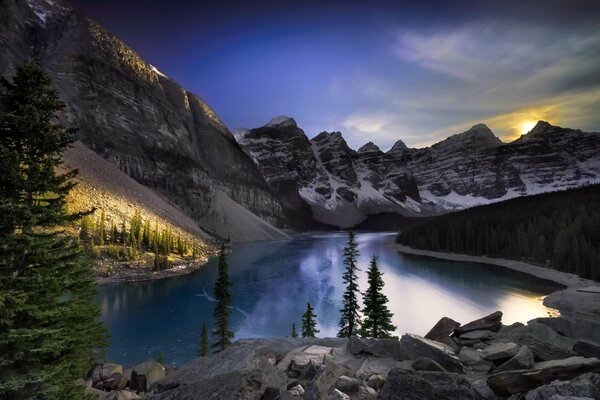 Abete rosso snello vicino al Lago di montagna