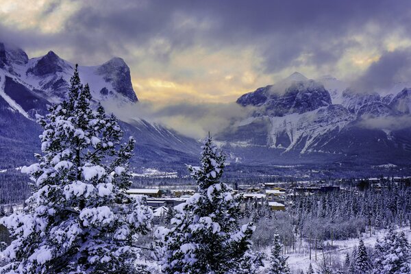 Banff National Park in winter. ate in the snow