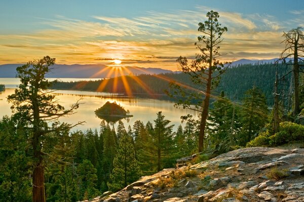 Lago, bosque, árboles, puesta de sol, rayos del sol