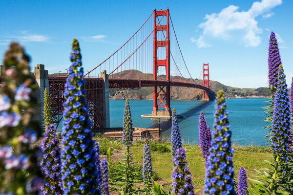 Golden Gate Bridge in san francisco