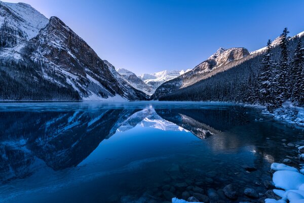 Canadian lake in the forest