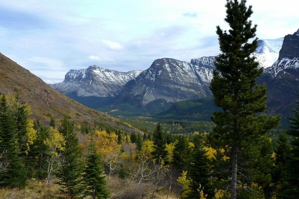 Beautiful forest and big mountains