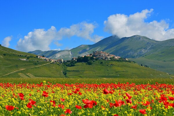 Italy. castellucho di norcia. field with poppies in the mountains